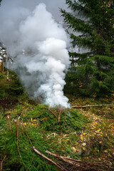 Burning twigs from trees in garden November 4 2023