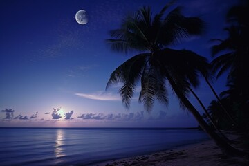 Palm tree under moonlit sky on Caribbean coastline. Generative AI