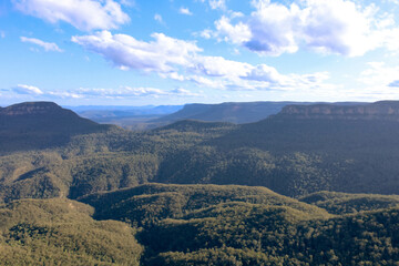 Fototapeta premium Blue mountains valley, rocks and eucalyptus trees