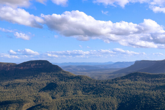 Blue mountains valley, rocks and eucalyptus trees