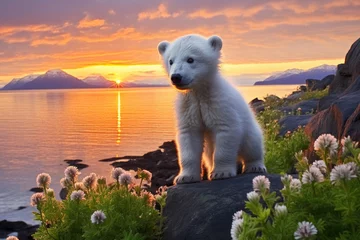 Gordijnen Polar bear cub outdoors © Veniamin Kraskov