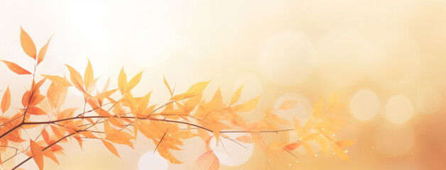 Abstract background with autumn leaves, Autumn background with leaves on a sunny day