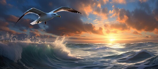 Obraz premium In the winter sky of Istanbul Turkey the background was filled with the breathtaking combination of white clouds blue waves and the luminous rays of light while a graceful bird with feather