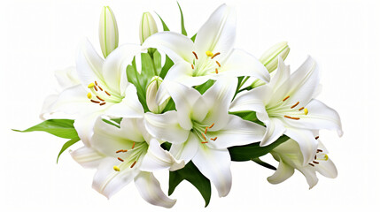 Fototapeta na wymiar Beautiful white easter lily flower bouquet isolated on white background