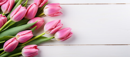 A flat lay of pink tulips on a white, rustic backdrop, bathed in morning light with space for your message.