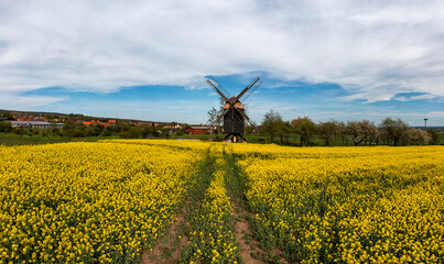 Luftbildaufnahmen Landkreis Harz Mühle Sargstedt