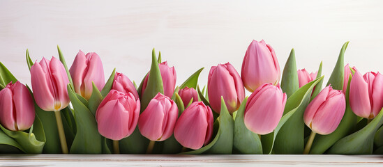 A flat lay of pink tulips on a white, rustic backdrop, bathed in morning light with space for your message.