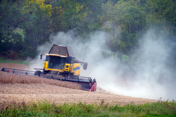 Combine harvester harvesting soy bean crop kicks up dust behind. Green foliage trees background