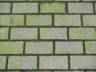 mossy concrete tiles texture background