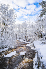 Rapid river with ice in a snowy woodland