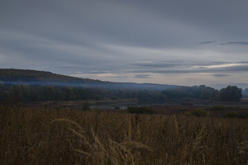 Morning foggy landscape with a lake in the forest