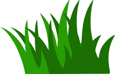 Grass Illustration