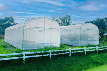 The greenhouse has a white fence in front.