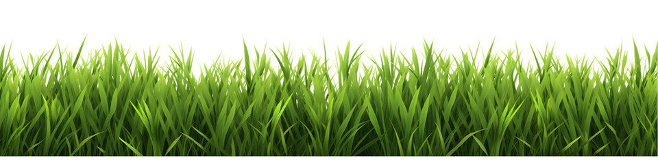 Green grass border set isolated on transparent background.  - obrazy, fototapety, plakaty