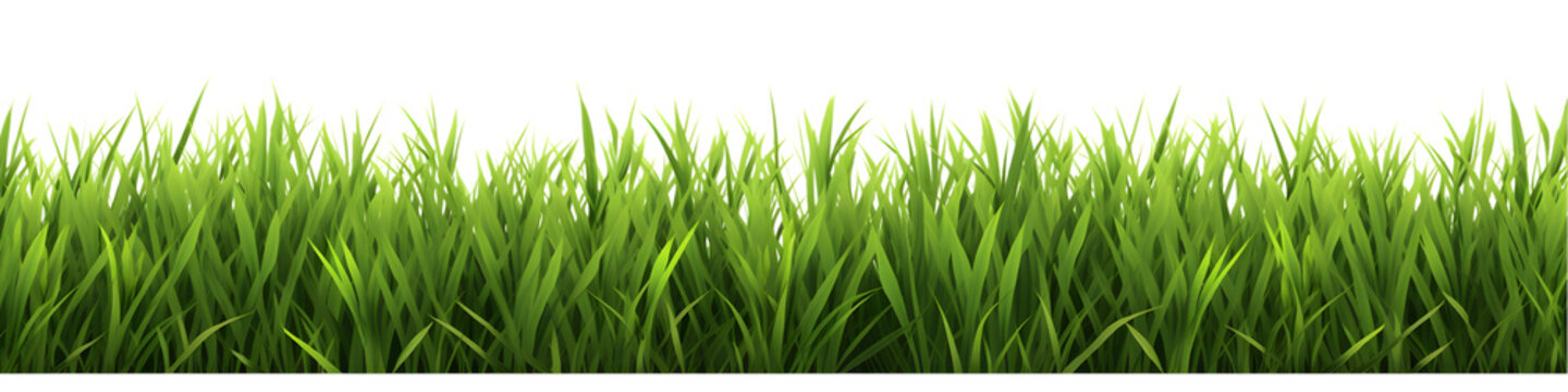 Green grass border set isolated on transparent background. 