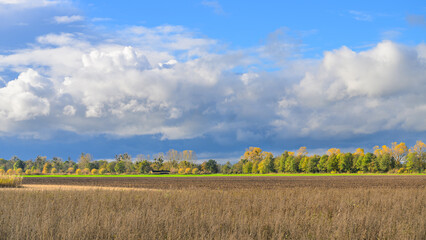 Obraz premium Herbst im Drömling