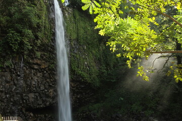 Sunlight behind a tree with background beautiful view of Anai Waterfalls in West Sumatra, indonesia.