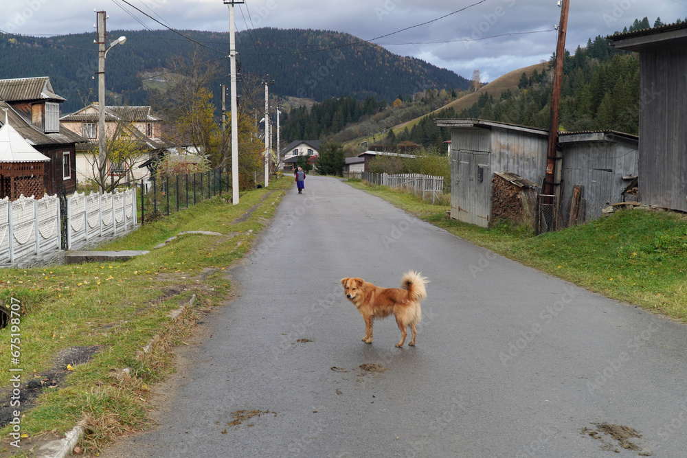 Sticker Carpathian village Verkhovina, street view in autumn