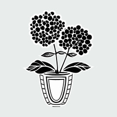 Hydrangeas plant silhouette vector illustration, botanical