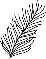 Hand drawn foliage element vector