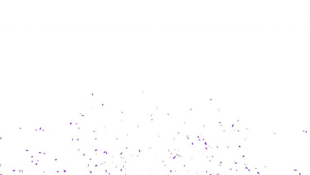 3D animation of exploding confetti Purple Explosion on White, Green and Alpha Matte Background