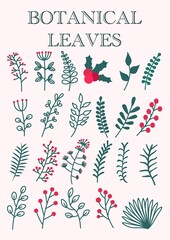 Botanical Leaves Vector Elements Illustration