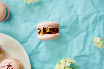 Assorted sweet french pink macarons on blue background with fresh flowers, pastry assortment, sweet indulgence.