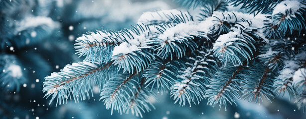 Naklejka na ściany i meble Christmas snowy fir tree branches close up. Christmas