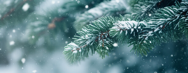 Christmas snowy fir tree branches close up. Christmas - obrazy, fototapety, plakaty