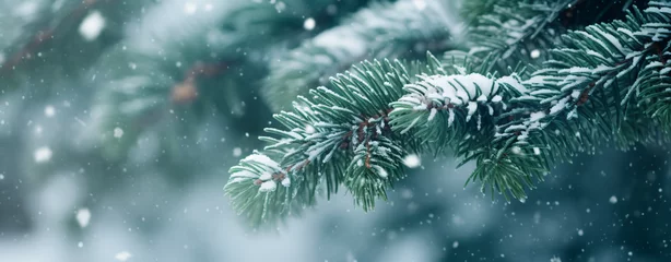 Fotobehang Christmas snowy fir tree branches close up. Christmas © UsamaR