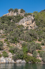 ancient rock tombs in the forest area. gocek, mugla, turkey
