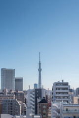 Fototapeta na wymiar Tokyo Sky Tree tower view from Ueno district. Tokyo, Japan. 