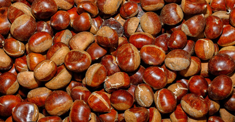 Alba, Piedmont, Italy - November 4, 2023: Chestnuts for sale during the Saturday market.