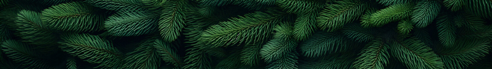 Fototapeta premium Fir branches green needle abstract background Christmas texture. Horizontal composition, banner.