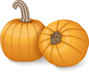 Group of Sugar Pie Pumpkins. Winter squash. Cucurbita pepo. Fruits and vegetables. Isolated vector illustration.