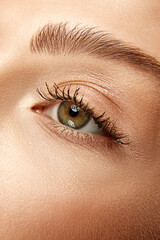 Cropped. Extreme close up view photo of woman with well-kept skin and natural fashion make-up. Eyes, lashes and brows.