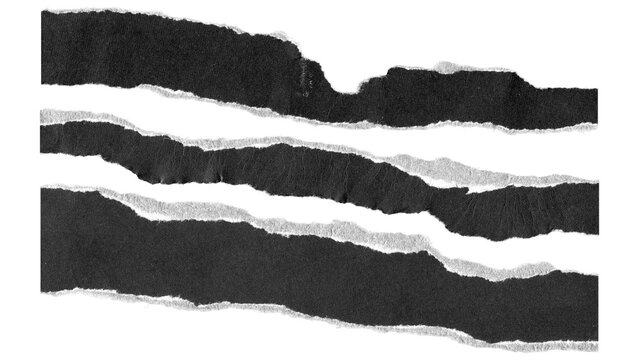 torn and ripped paper lines stripes with jagged edges from black paper in Y2K retro style, png isolated cardboard pieces on transparent background