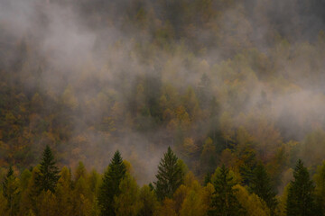 Il foliage in montagna in una giornata di pioggia e nuvole basse