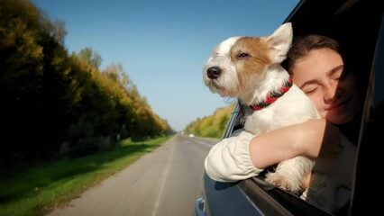 Dog and happy girl sticking their heads out the car window. Slow motion