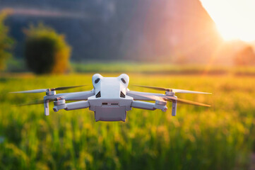 People use drones to take pictures of rice fields as the sun sets