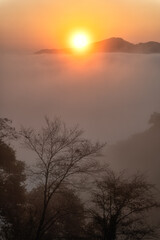 栃木県　雲海が覆いつくす鎌倉山からの風景