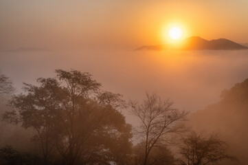 Fototapeta na wymiar 栃木県　雲海が覆いつくす鎌倉山からの風景