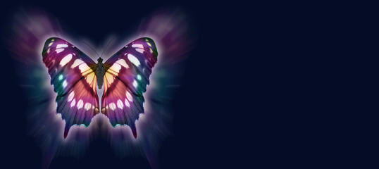 Butterfly Metaphor for departing soul Funeral Wake template background - butterfly set against a...