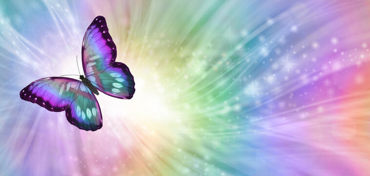 Fototapeta Butterfly Soul Journey Concept - multicoloured butterfly flying off top left with rainbow coloured flowing lines, sparkles and copy space ideal for an advert, invite, business card, memo template 