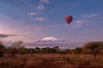 Amboseli National Park with a view of the snow summit of Kilimanjaro in Kenya. Safari Hot air balloon experience in the early morning