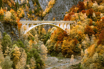White bridge over the river in autumn mountain
