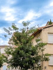 Discover the Beauty and Heritage of Saint-Gilles through Its Street View