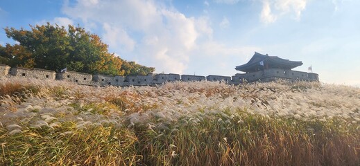 수원 화성 화서공원 © 춘희 박