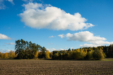 Fototapeta premium Colorful autumn landscape with vivid yellow and orange trees, sunlight, meadows, forests and fields