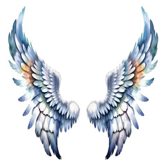 Watercolor Angel Wings Isolated on Transparent Background